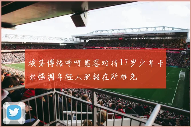 埃芬博格呼吁宽容对待17岁少年卡尔强调年轻人犯错在所难免