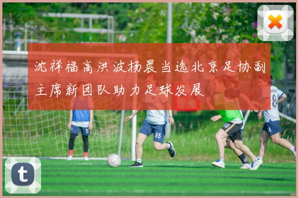 沈祥福高洪波杨晨当选北京足协副主席新团队助力足球发展