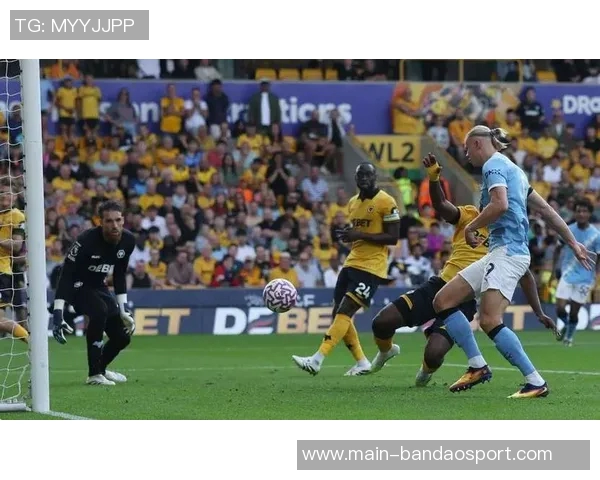 英超失误致丢球统计：狼队领先热刺桑德兰森林紧随其后