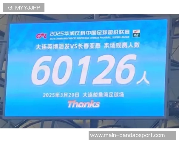 2025中超观赛人数突破618万人大连英博多项指标领跑全联赛